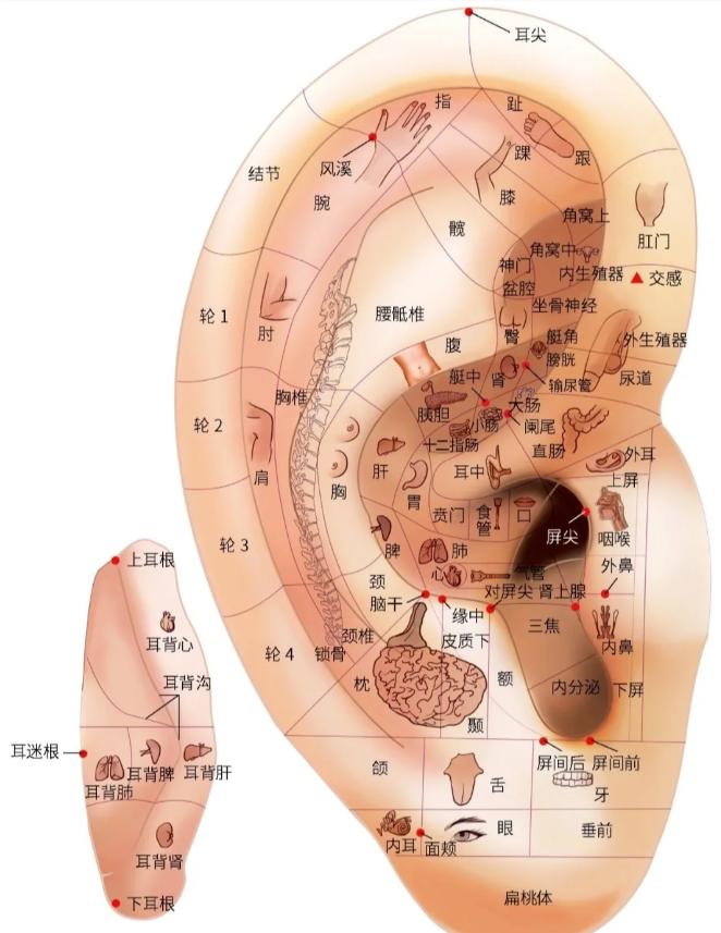 图片16.jpg