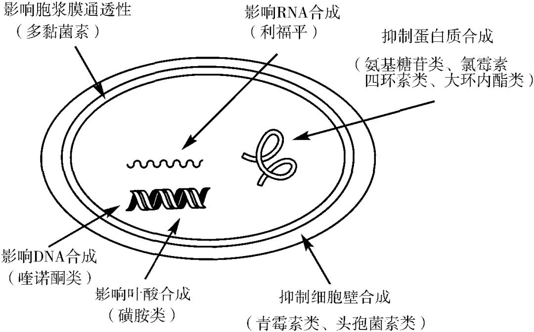 图片20.jpg