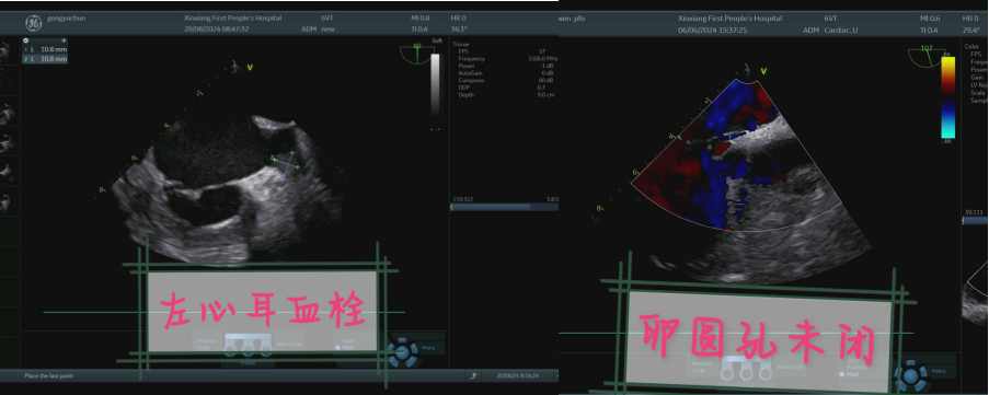 QQ20241014-183056.jpg
