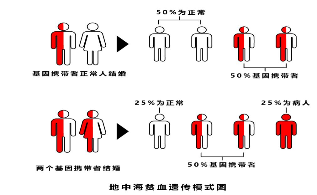 图片47.jpg