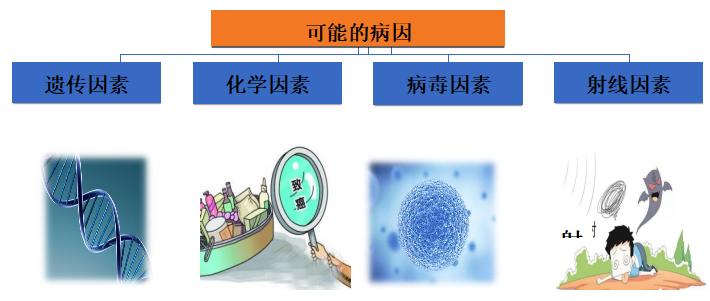 图片61.jpg 图片61.jpg