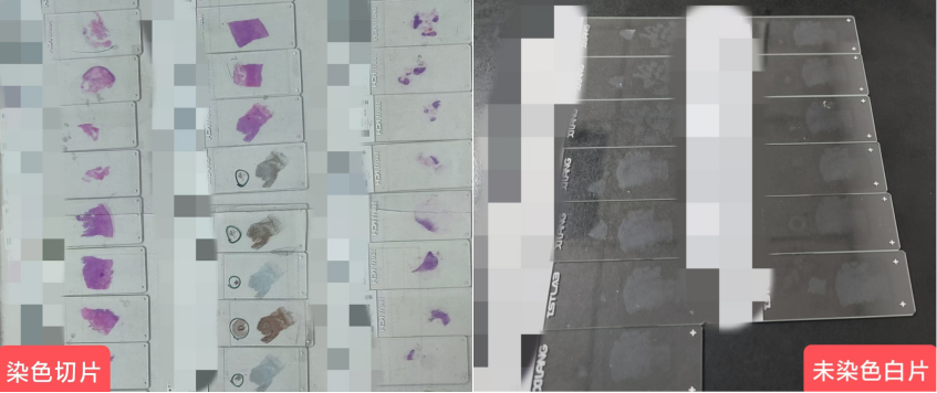 QQ20241209-181328.jpg