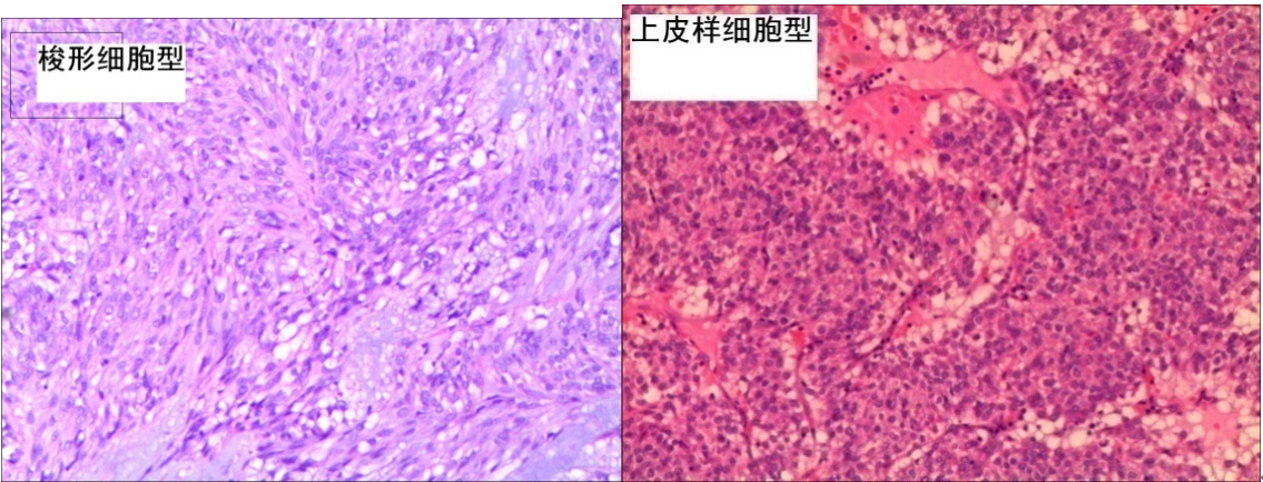 QQ20241209-182104.jpg